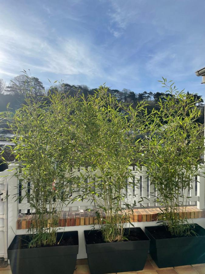 Etretat: Agreable Maison De Ville Exteriör bild